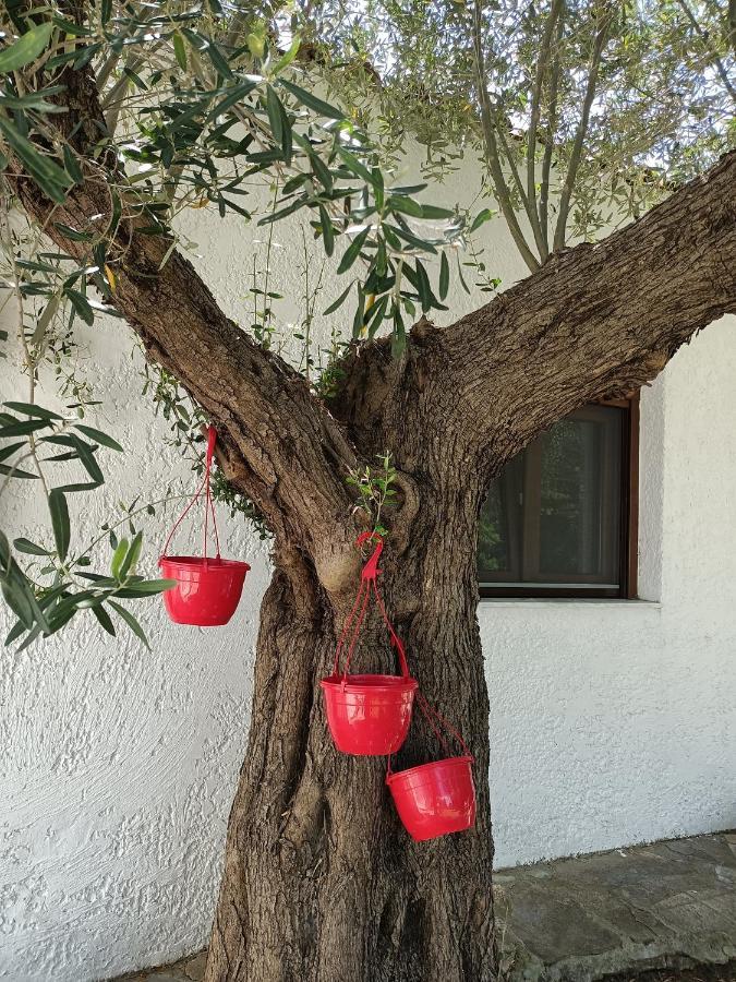 Marios Garden House Apartman Áfitosz Kültér fotó
